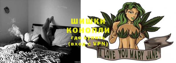гашик Белоозёрский