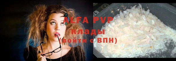 таблы Новозыбков