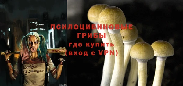 таблы Новозыбков