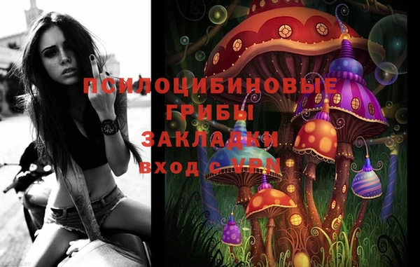 гашик Белоозёрский