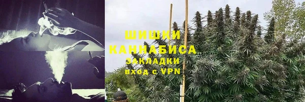 гашик Белоозёрский