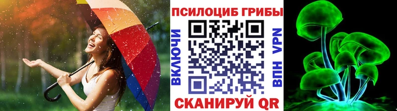 Галлюциногенные грибы Psilocybine cubensis  Коряжма 